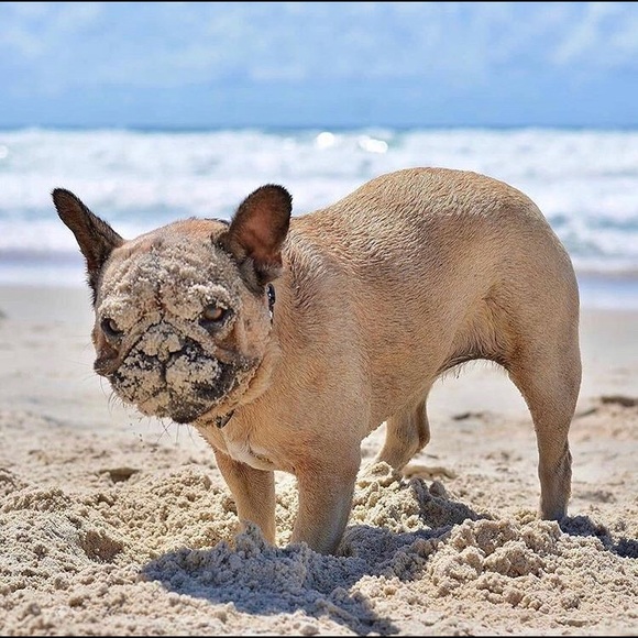 Meet your Posher, Eric - Picture 1 of 1